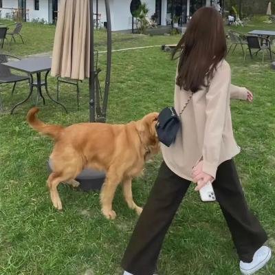 影之诗